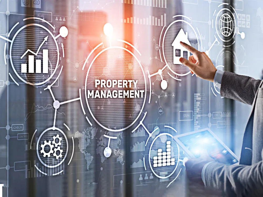 Asset Management Services - Potential Benefits For Investors